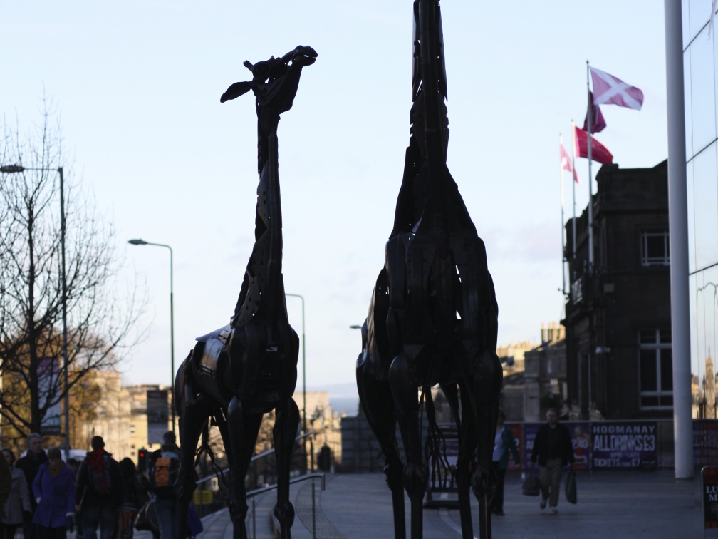 Giraffe sculptures