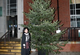 Elsa with Christmas tree