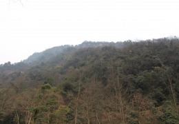 Mount Qingcheng