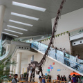 Shanghai Science and Technology Museum 上海科技馆